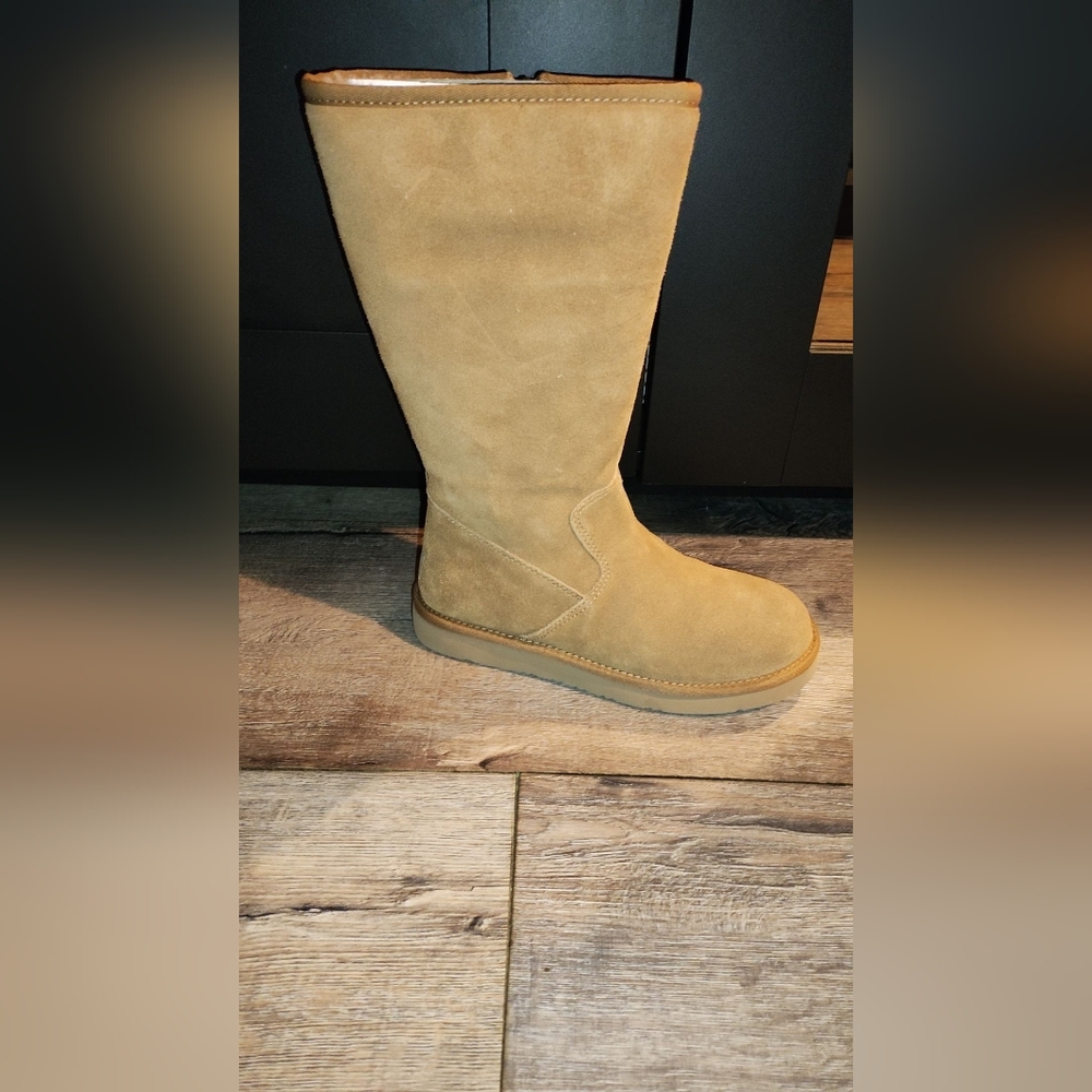 Women alber uggs